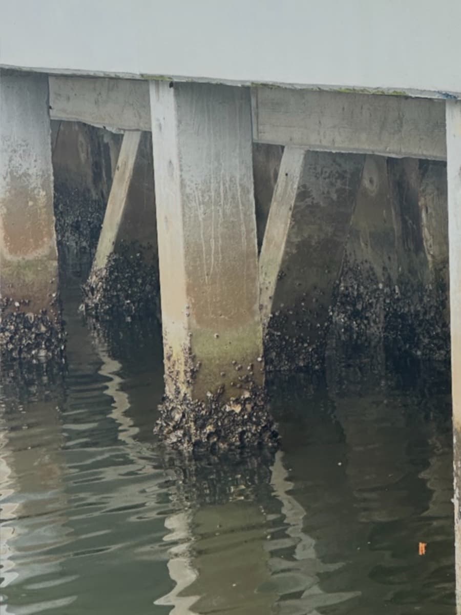 Before — Coastal Edge seawall work