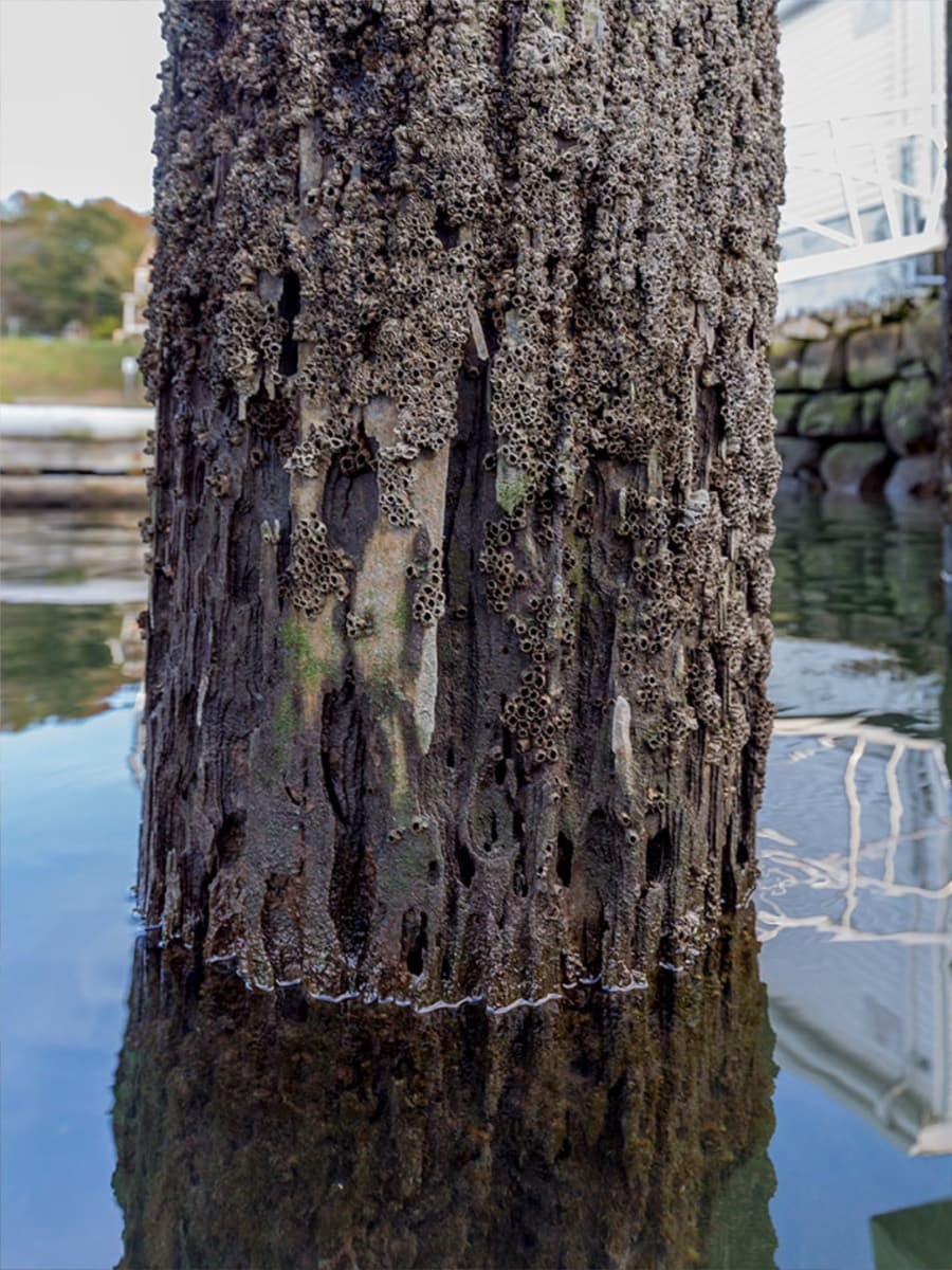 Before — Coastal Edge seawall work